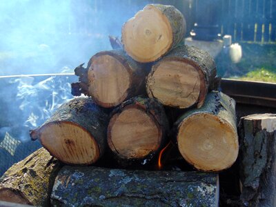 Logs wood stacked