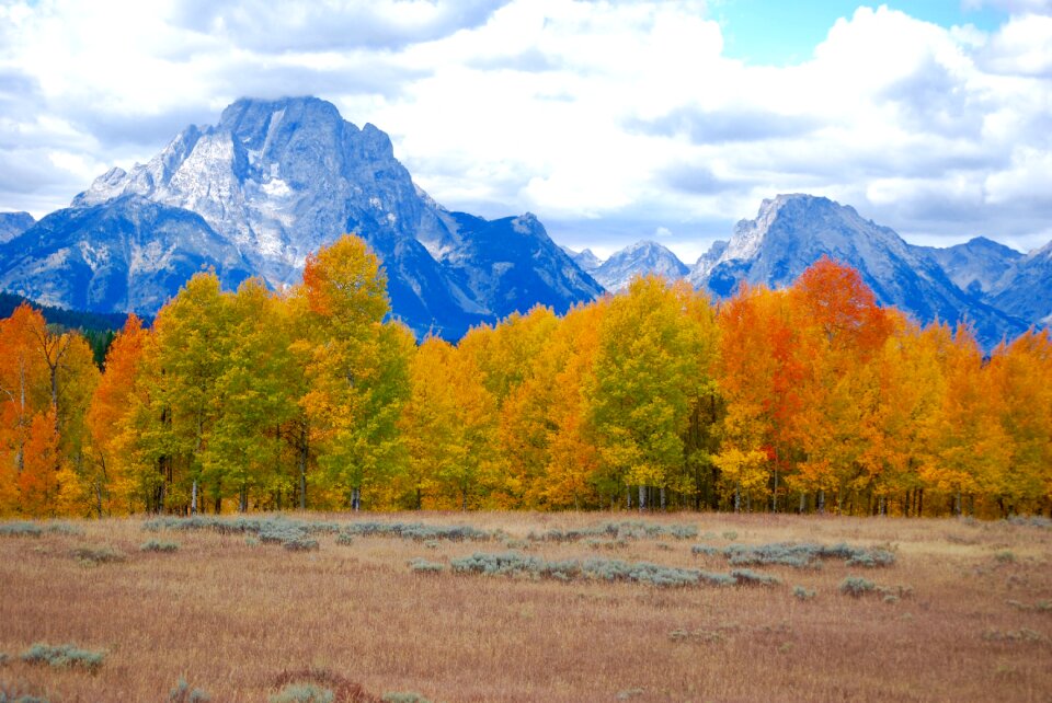 Yellowstone national park