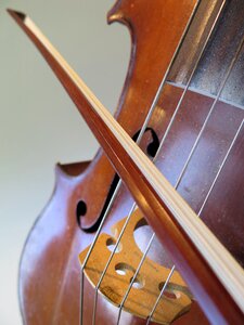 Music web strings photo