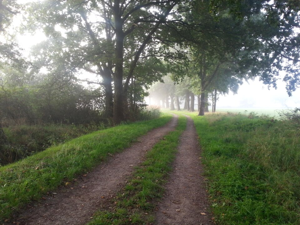 Nature landscape
