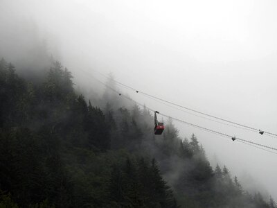 Mountain trees fog photo