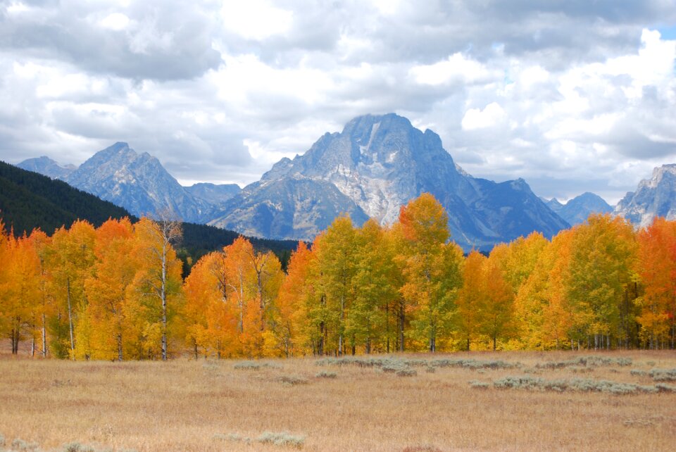 Yellowstone national park