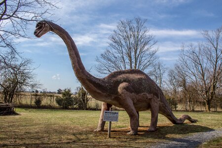 Creature blue dinosaur