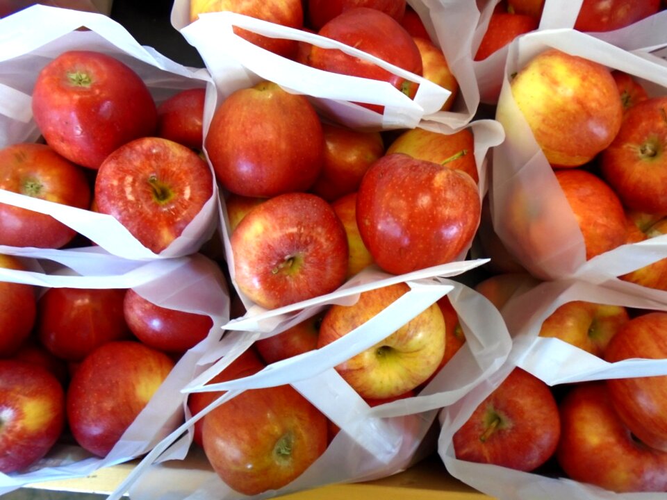 Ripe tasty food