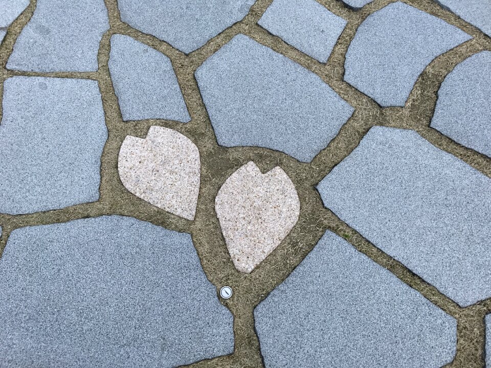 Kioicho garden cherry blossoms pavement