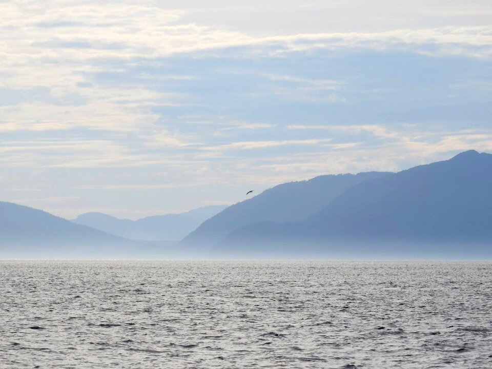 Ocean sea blue