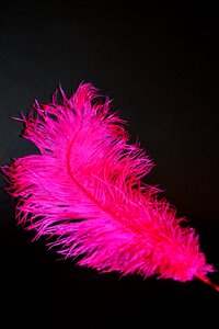Female body soft