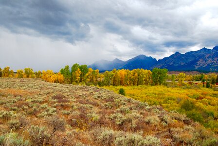 Yellowstone national park