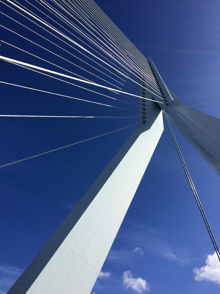 Bridge erasmus water