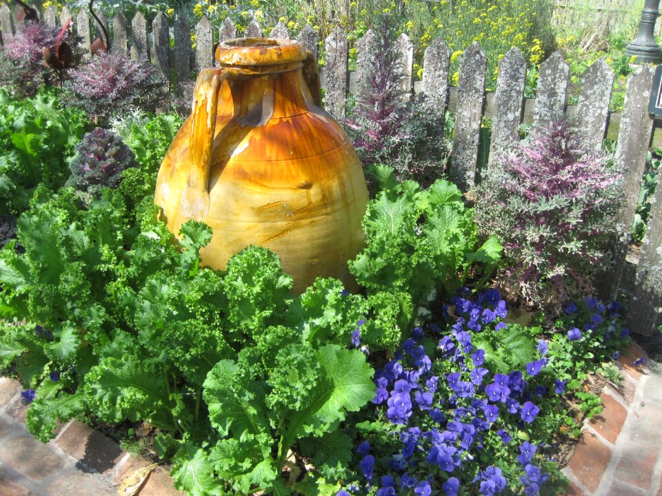 Flower pottery relaxation