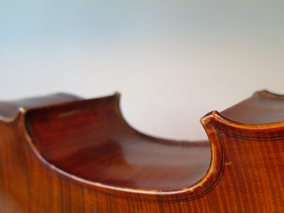 Stringed instrument classic music photo