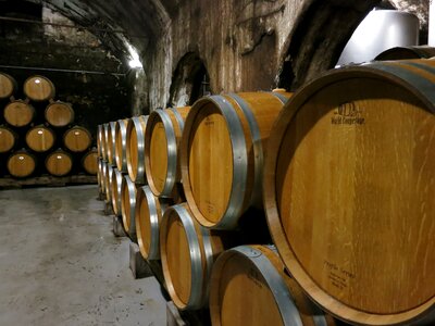 Wine barrel vineyard cask photo