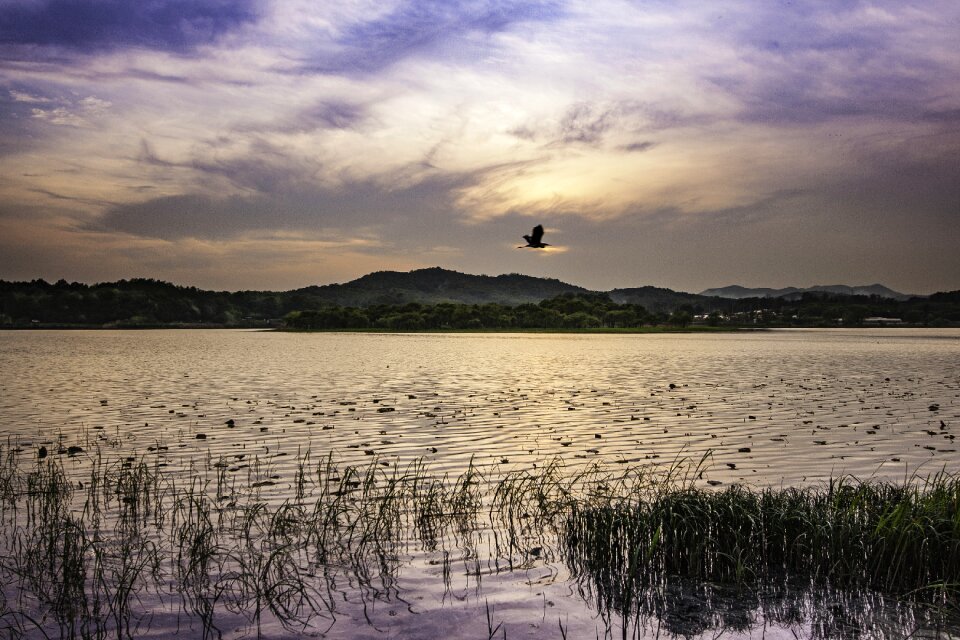 Nature lake landscape