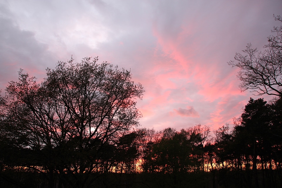 Afterglow trees weather mood photo