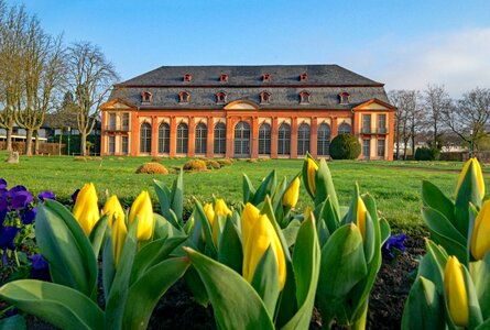 Germany spring flowers
