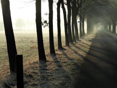 Cold winter morning