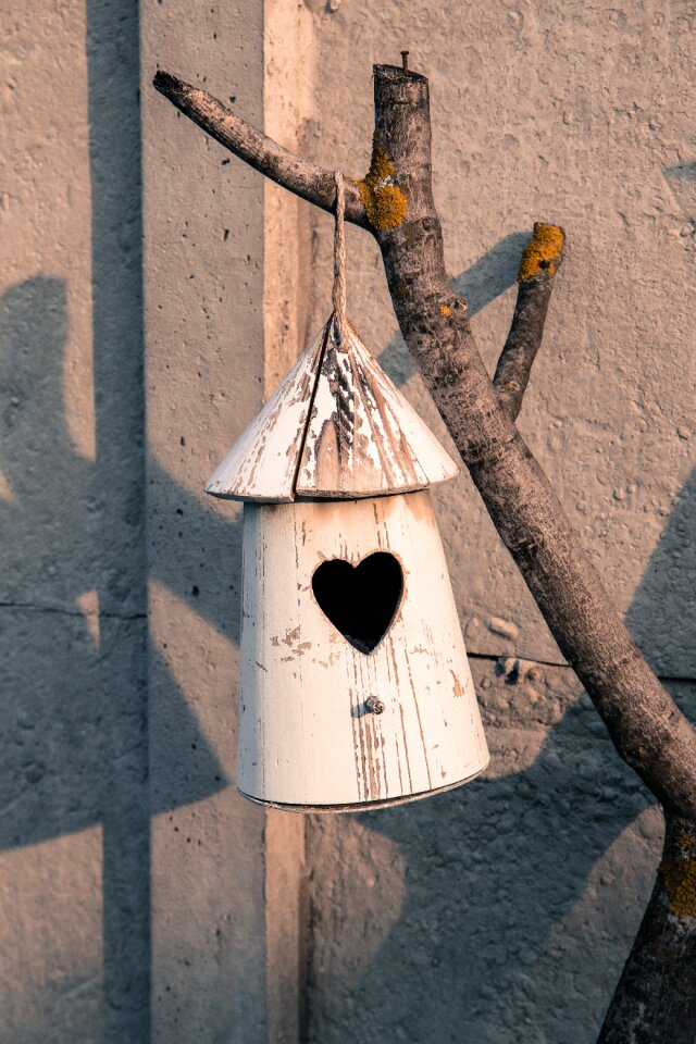 Bird hut garden wood