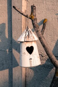 Bird hut garden wood