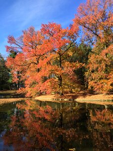 Autumn outdoor colorful photo