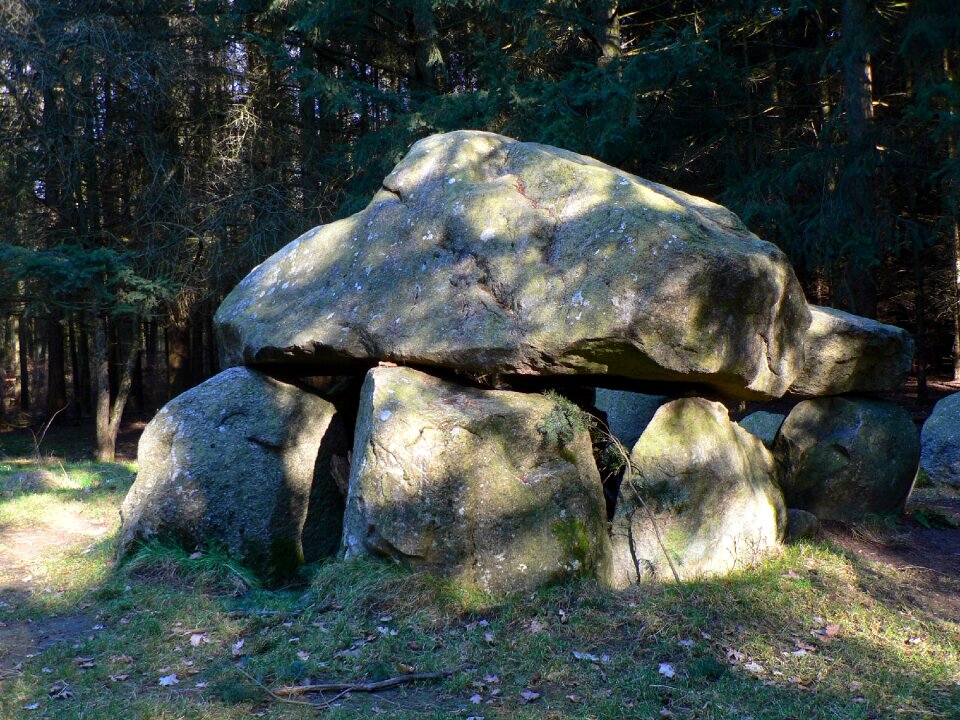 Mecklenburg western pomerania evershäger forest new stone age