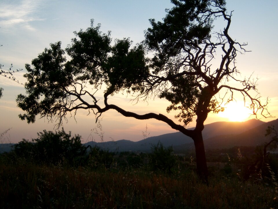Romance sun landscape