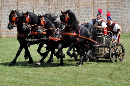 Roman horses cart