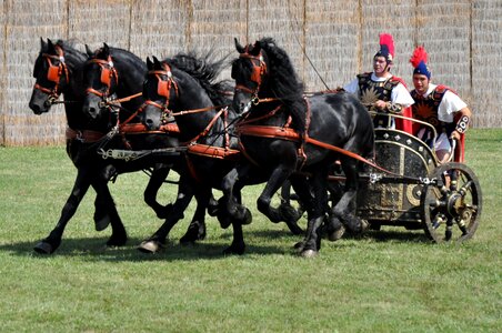 Roman horses cart photo