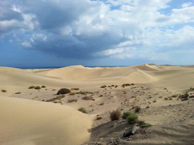 Dunes maspalomas gran canaria