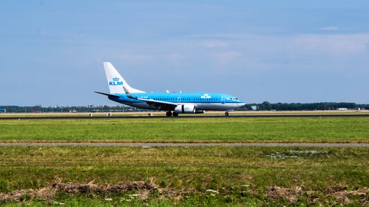 Blue royal airline