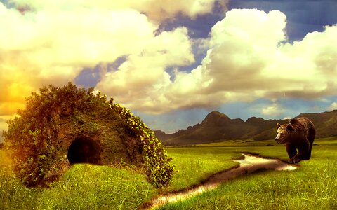 Bear cave nature