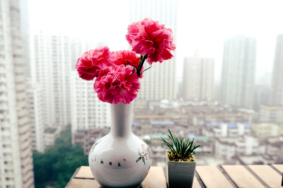 Still life plant color
