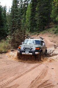 Brown running brown run