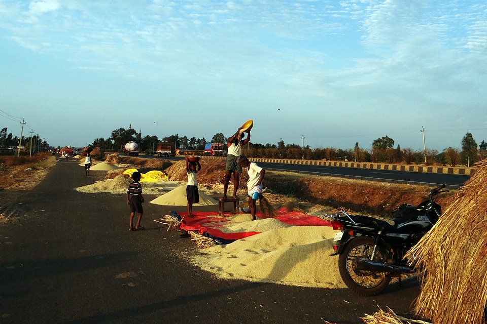 Karnataka india agricultue