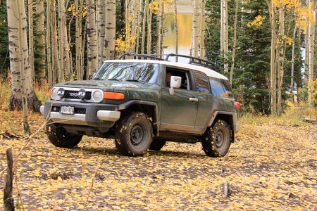 Fj cruiser fall