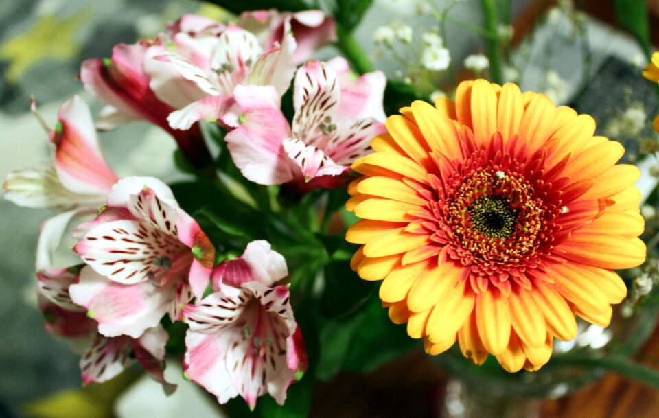 Beautiful flowers yellow flowers bouquet of flowers