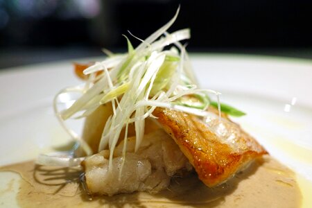 French french cuisine fish photo