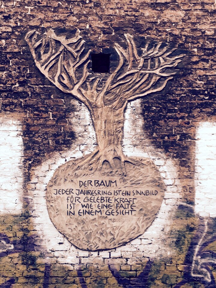 Stone wall wall saying