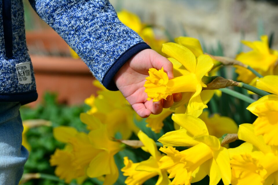 Child's hand child easter photo