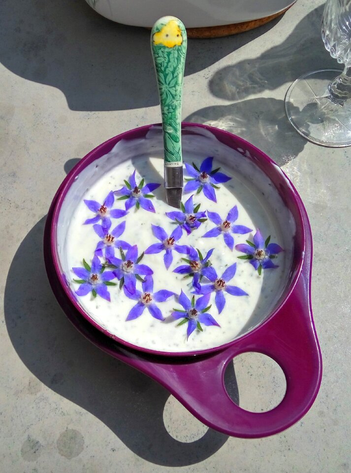 Delicious flowers edible
