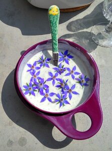 Delicious flowers edible