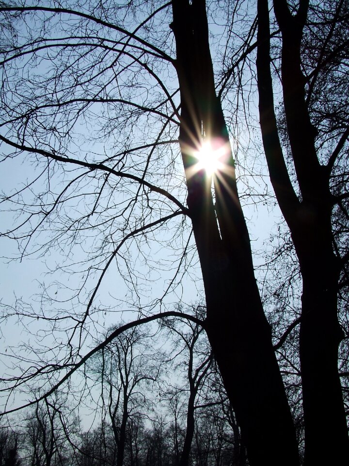 Autumn landscape light