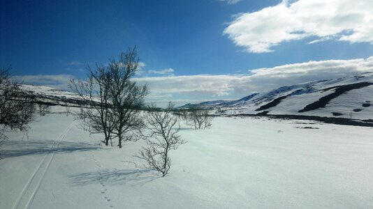 Lakselv snow winter photo