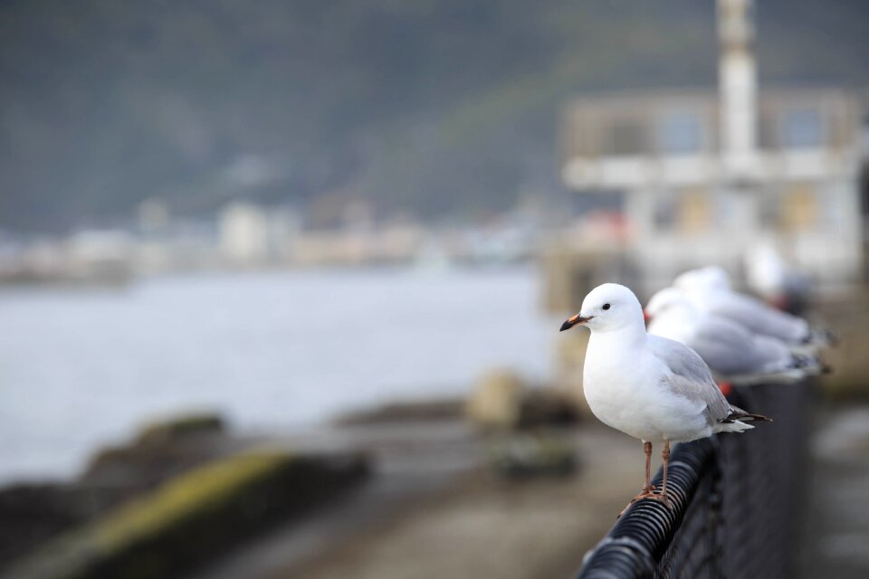 Greymouth leisure tourism