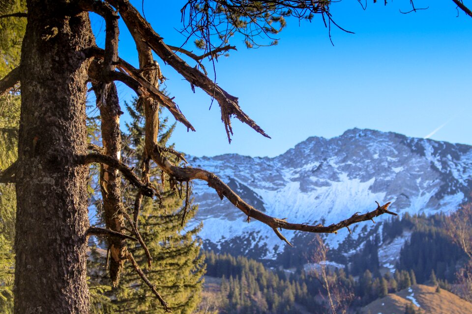 Cold snow landscape
