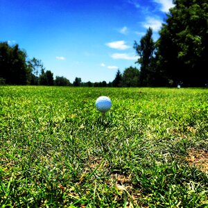 Golfing green golf