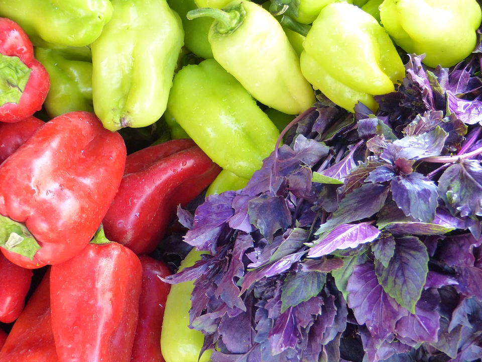 Nutrition paprika red
