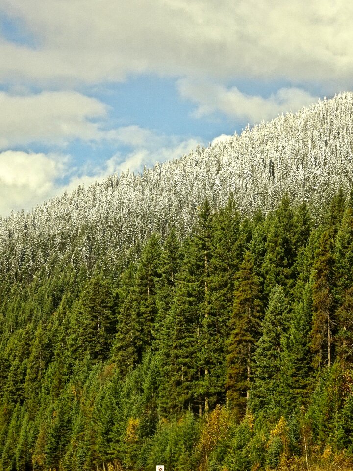 Snow outdoors