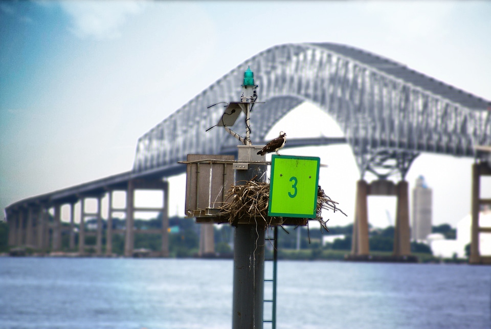 Maryland inner harbor key bridge
