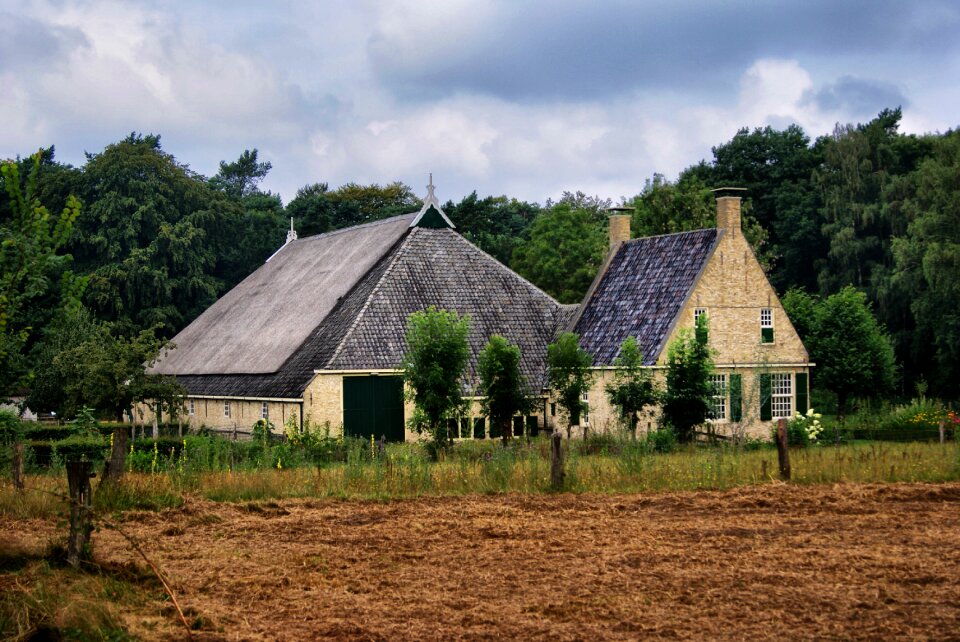 Old replica netherlands