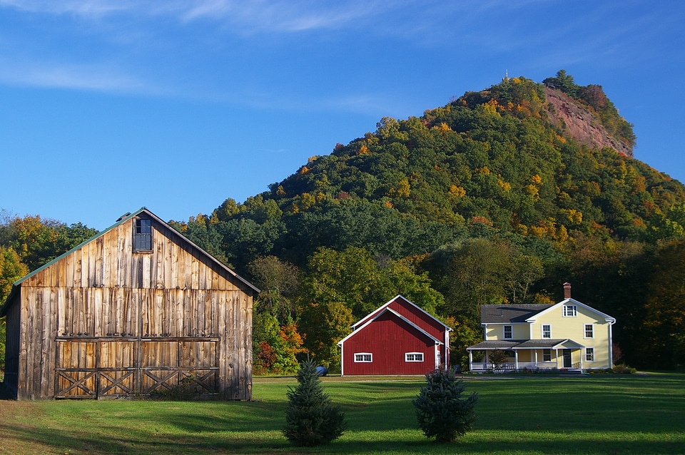 Fall foliage nature beautiful